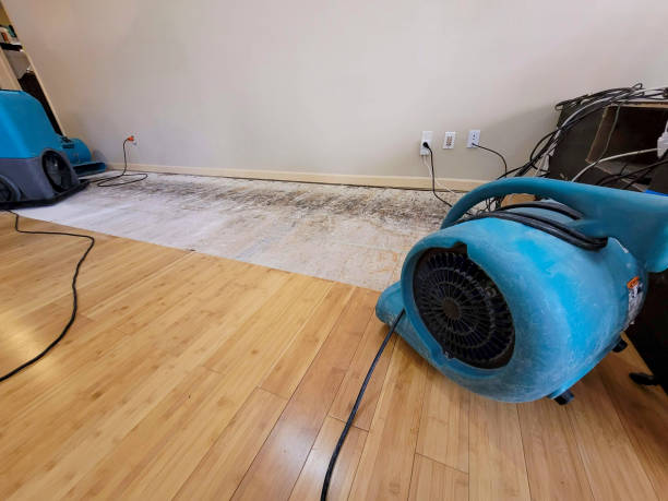 Professional Water Damage Repair technician working in Guffey, CO